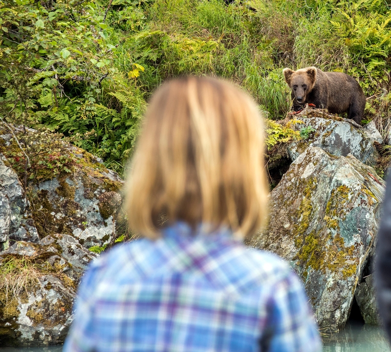 A Golden Rule | Alamy Stock Photo by Cannon Photography LLC / BrownWCannonIII