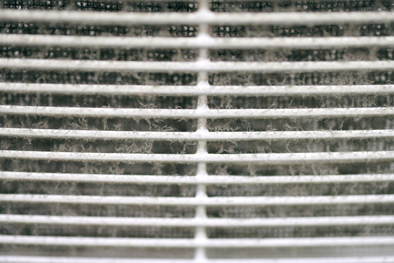 Limpia la ventilación | Shutterstock