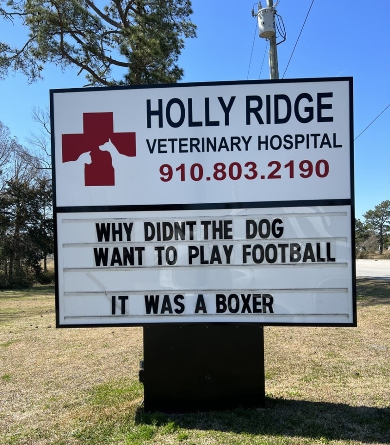 Game On! | Facebook/@HollyRidgeVet