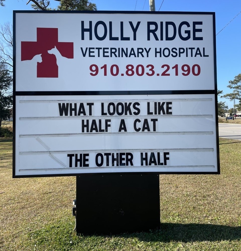 Ba-Dum Tss! | Facebook/@HollyRidgeVet