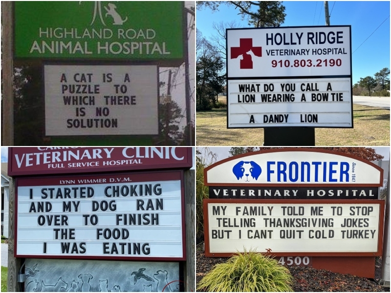 These Funny Vet Signs Will Brighten Your Day: Part 2 | Instagram/@frontiervet & Facebook/@HighlandRoadAnimalHospital & Facebook/@carrollcovet & Facebook/@HollyRidgeVet