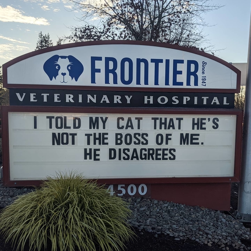 Spoiler Alert, Cats Are, in Fact, the Boss of You | Instagram/@frontiervet