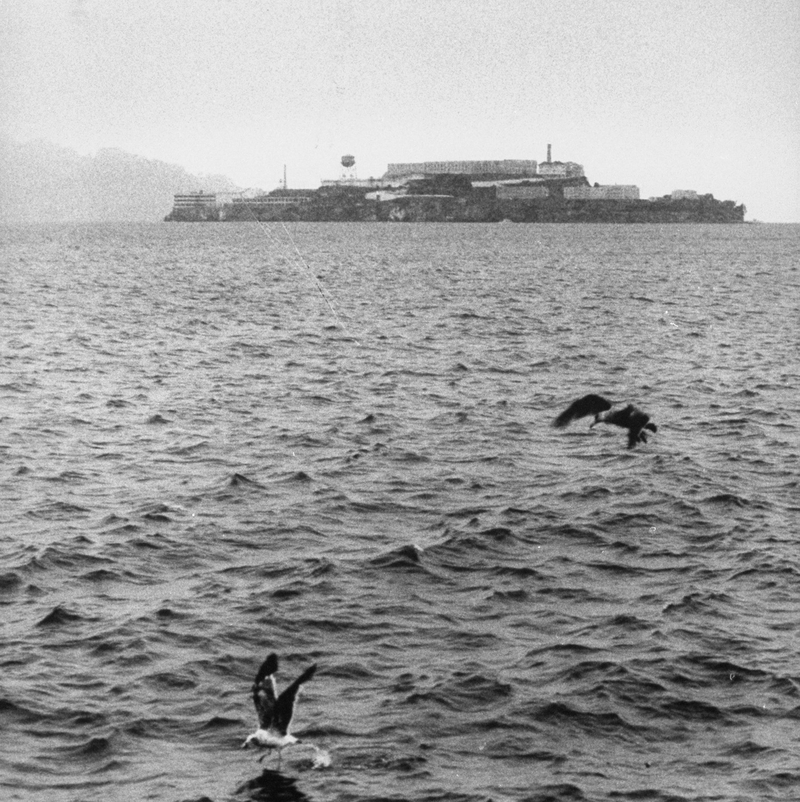 Búsqueda en la bahía | Getty Images Photo by Jon Brenneis