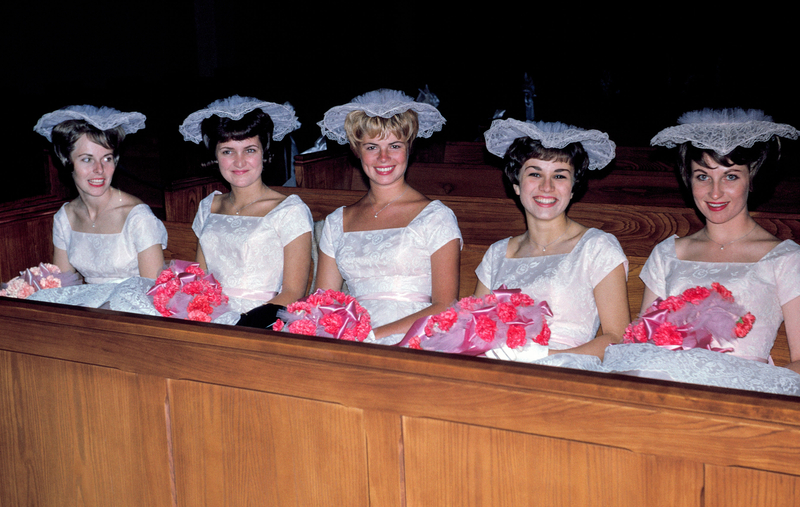 Damas de blanco | Alamy Stock Photo by Michele and Tom Grimm