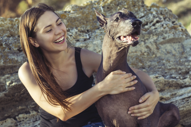 Xoloitzcuintli | Shutterstock Photo by Masaryk