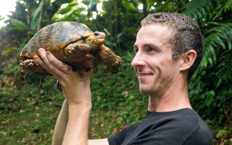 Schildkröten | Shutterstock Photo by chrisontour84