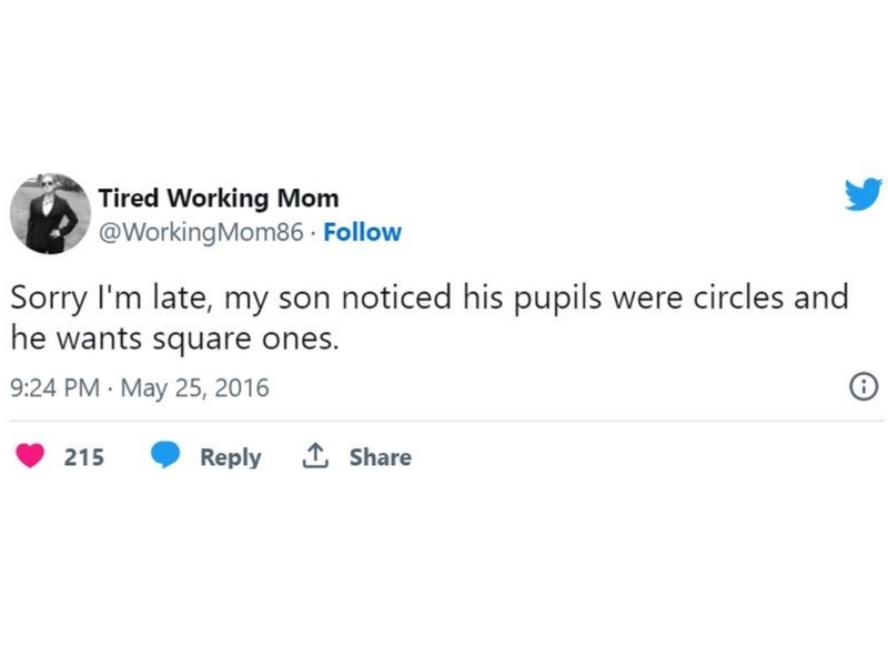 The Mom Who Couldn’t Change the Shape of Her Son’s Pupils | Twitter/@WorkingMom86