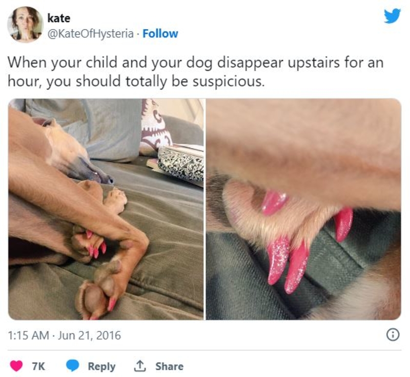 The Mom Whose Dog Got a Bit of a Makeover | Twitter/@KateOfHysteria