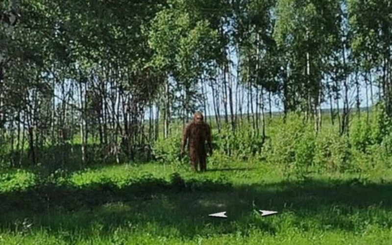 Ist das BigFoot? | Imgur.com/gg1Ov0P via Google Street View