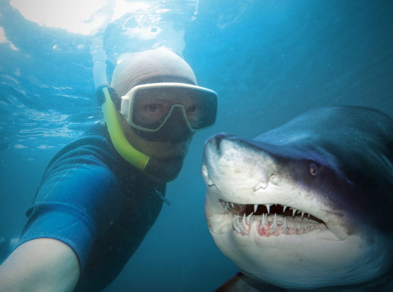 Say Cheese | Shutterstock