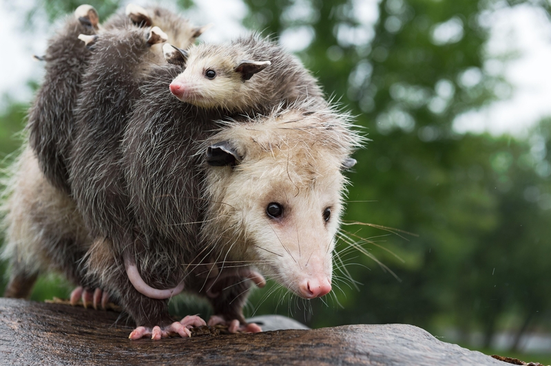 Wir haben dieses Gesicht definitiv gemacht | Alamy Stock Photo by Holly Kuchera