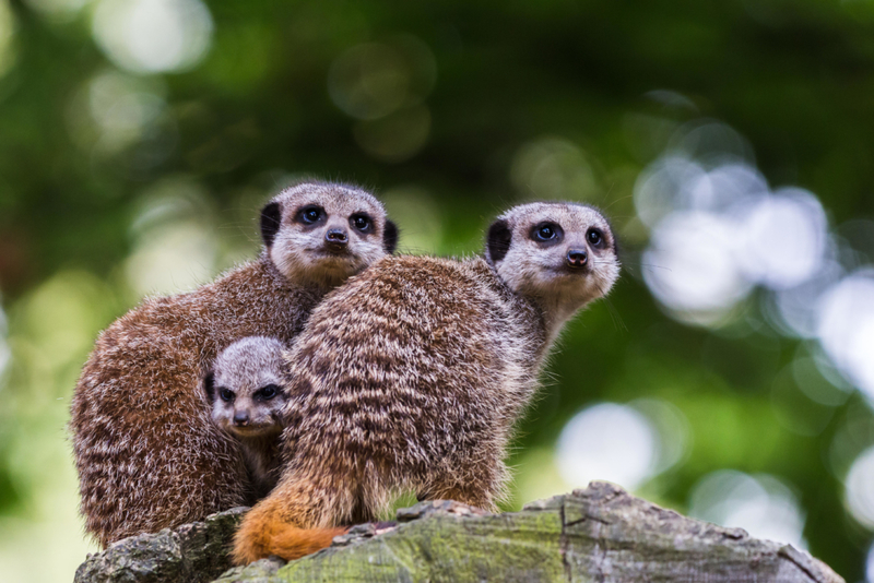 Aber ich möchte diesen Weg gehen! | Alamy Stock Photo by Jason Wells