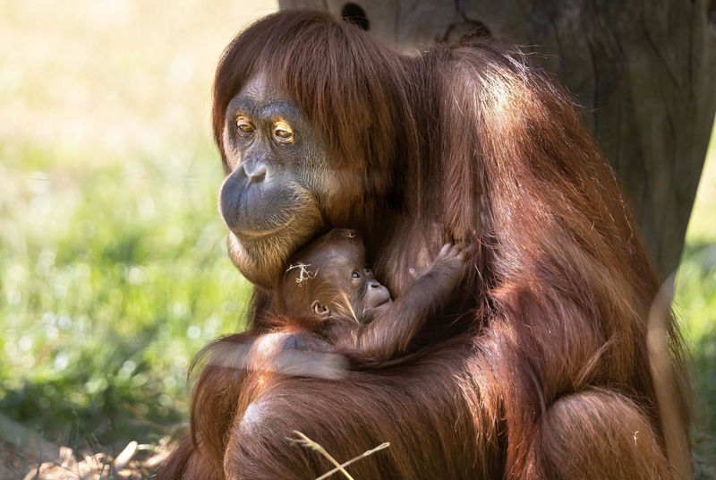 Dieser Karen-Blick | Alamy Stock Photo by Dieter Menne/dpa picture alliance/Alamy Live News