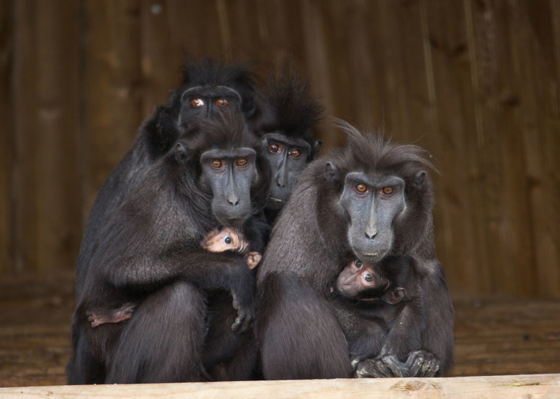 Worauf starrst du? | Alamy Stock Photo by Jack Bishop