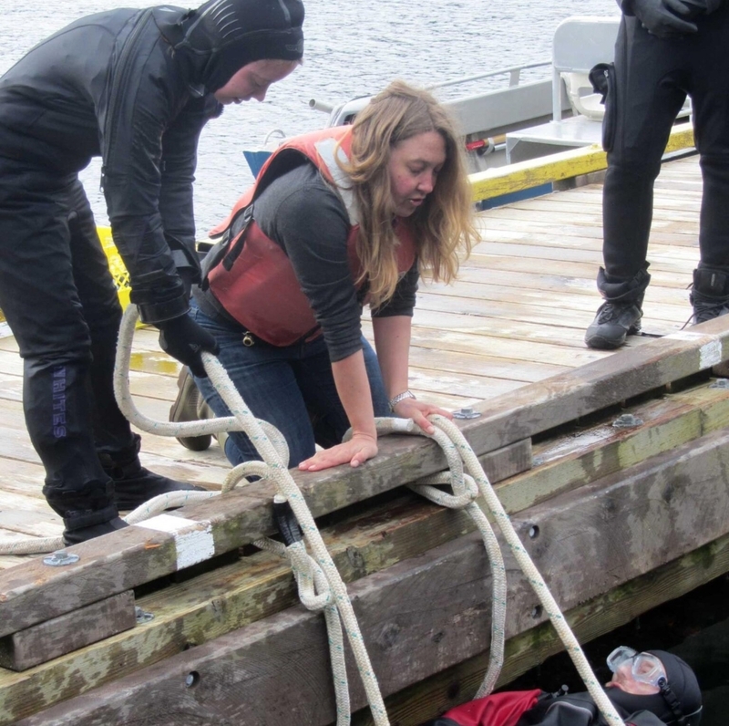 What Did They Find? | Twitter/@redlipblenny