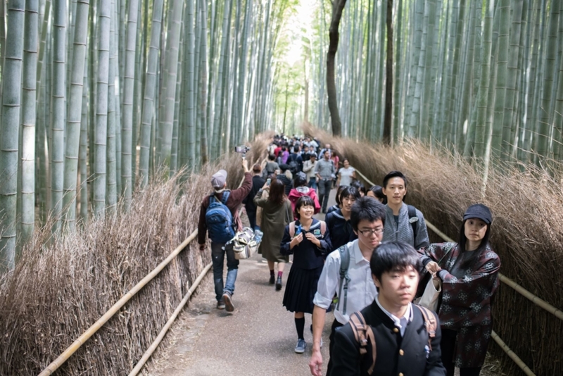 Realidad - Bosque de bambú de Arashiyama, Kioto, Japón | Shutterstock