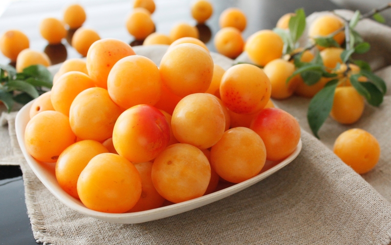 Mirabelle Plums | Shutterstock