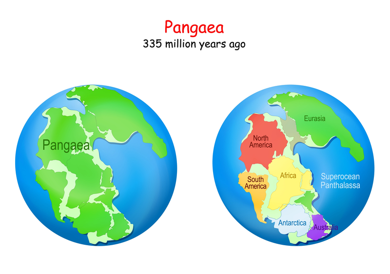 Pangea and Panthalassa | Shutterstock