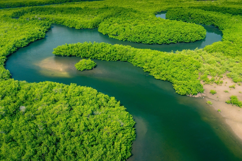 The Amazon Is Earth’s Largest Rainforest | Alamy Stock Photo