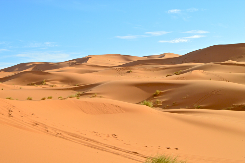 The Sahara Is Earth’s Largest Hot Desert | Shutterstock