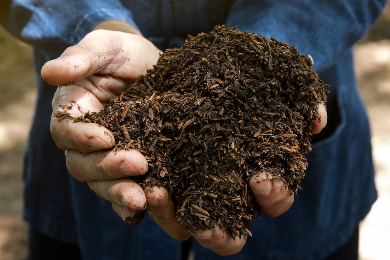 Our Soil Is Jam-Packed With Microbes | Shutterstock