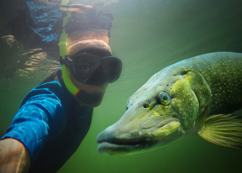 Choca esos cinco en pike | Getty Images Photo by abadonian