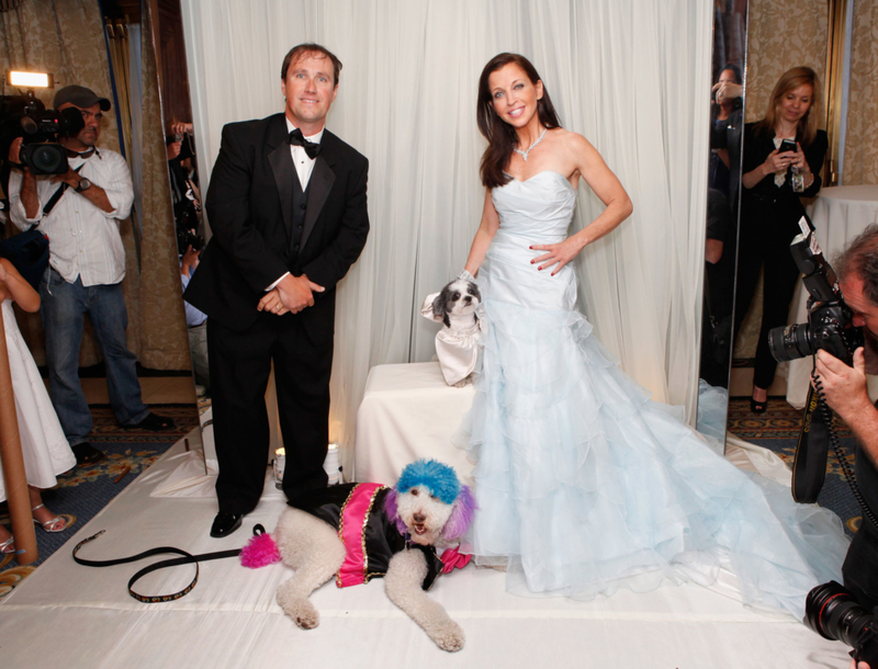 O Melhor Casamento Canino | Getty Images Photo by Cindy Ord