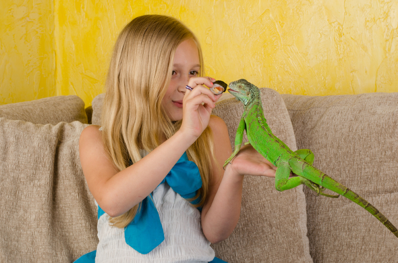 Iguanas | Shutterstock Photo by Siarhei Kasilau