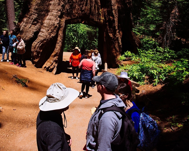 Realität: Yosemite-Nationalpark, Vereinigte Staaten | Getty Images Photo by Hugh Peterswald/Pacific Press/LightRocket