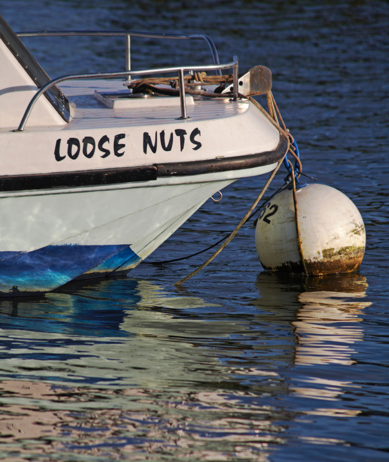 Locos sueltos | Alamy Stock Photo by Carolyn Jenkins