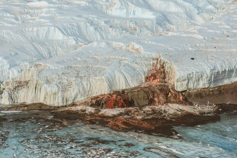 Hielo rojo | Alamy Stock Photo by Cavan Images/Alasdair Turner