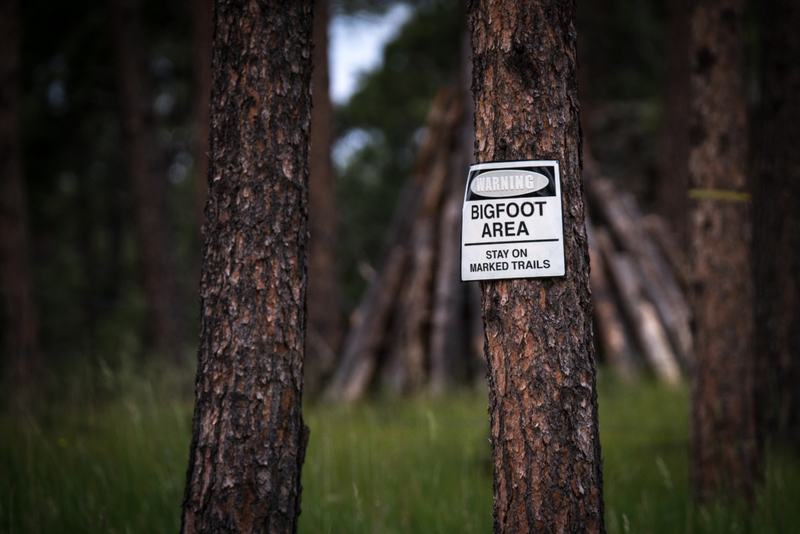 Die Erklärung hinter Bigfoot | Shutterstock