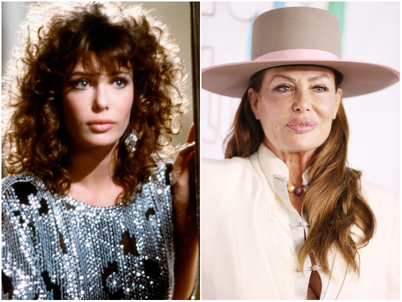 Kelly LeBrock | Alamy Stock Photo by TCD/Prod.DB & Getty Images Photo by Amy Sussman