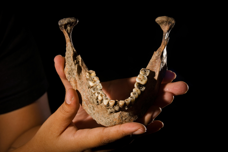 Prehistoric Dentists Were Always Out of Work | Alamy Stock Photo 