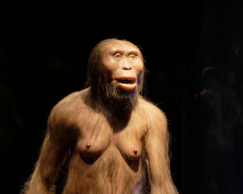 Our Ancient Ancestor | Alamy Stock Photo 