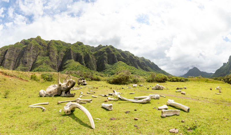 Jurassic Park, Hawaii | Alamy Stock Photo