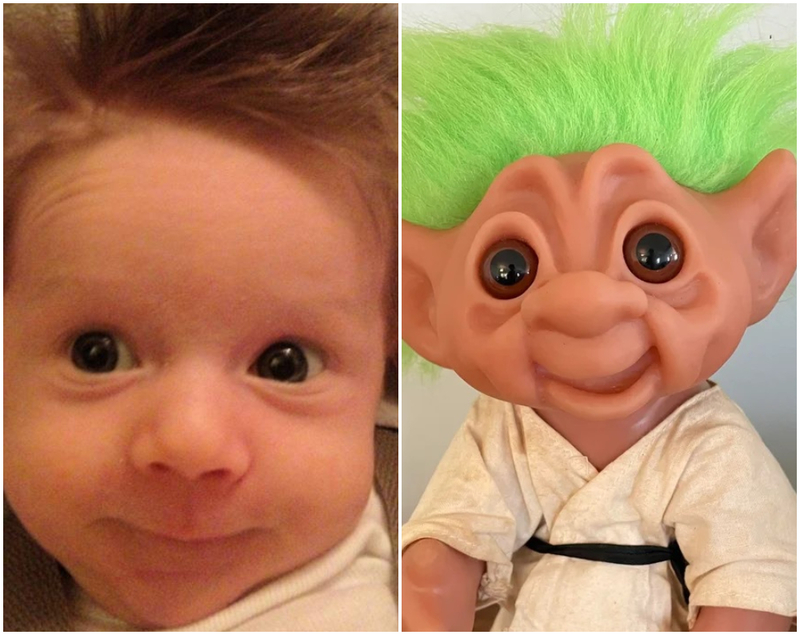 ¡El troll más lindo del mundo! | Imgur.com/3wE1ky1 & Reddit.com/No-Set-4003