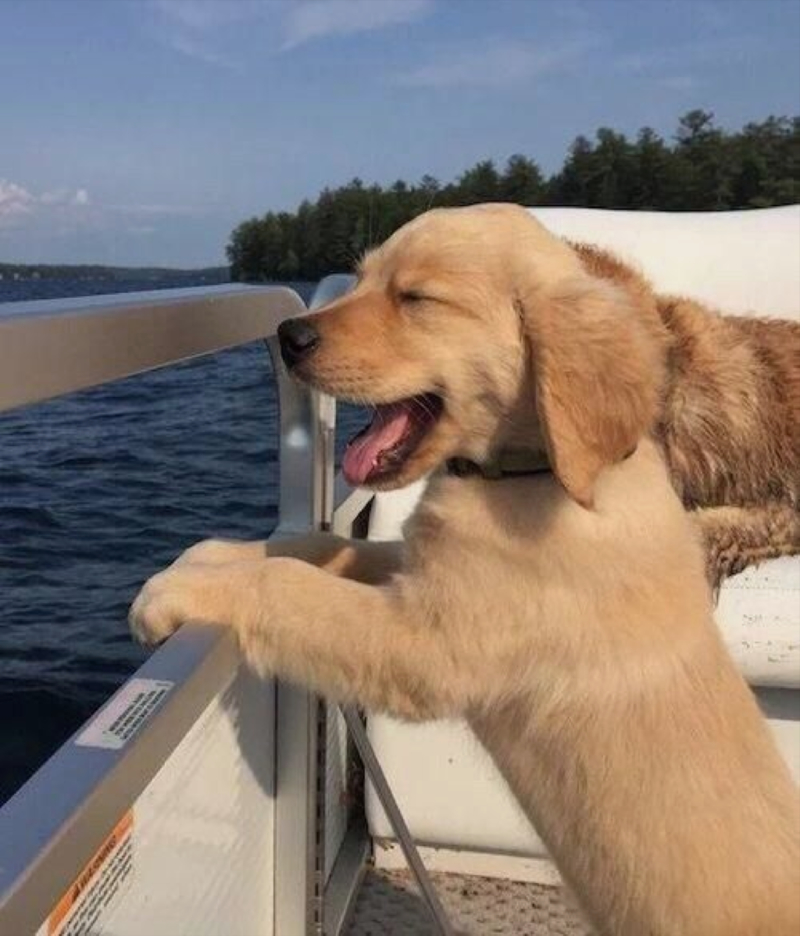 Sailing Like a Boss | Imgur.com/CAdznB3