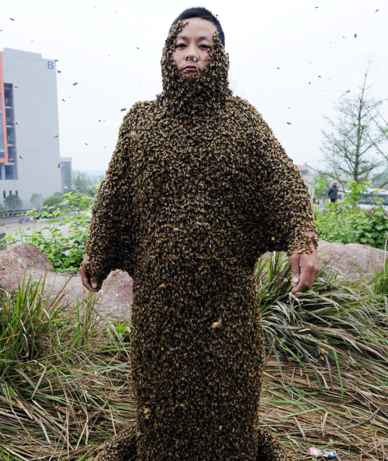 Die Bienen sind ein großer Fan von ihm! | Alamy Stock Photo by Imaginechina Limited 