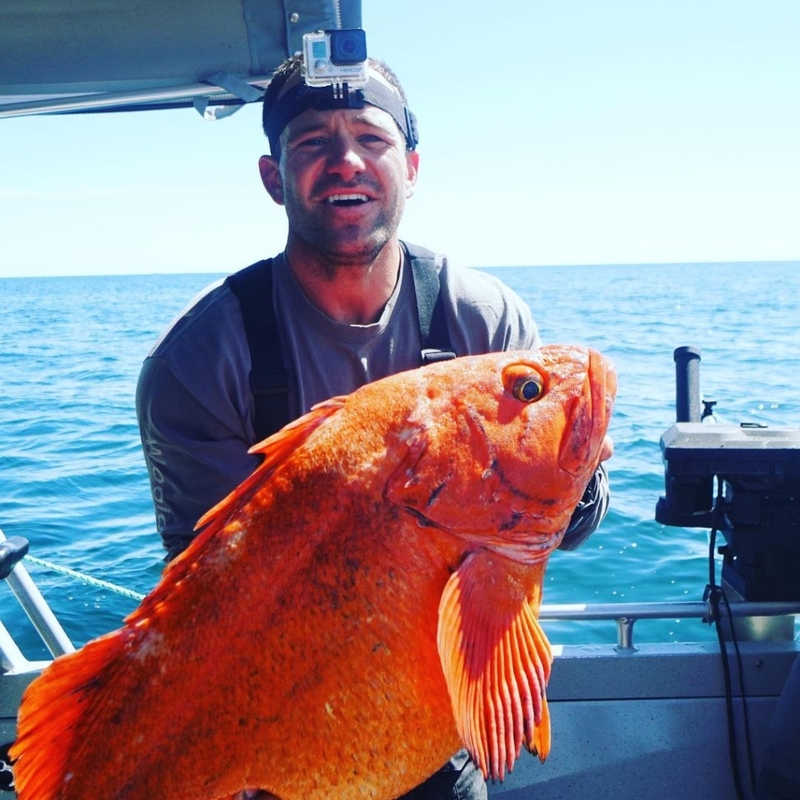 Hier ist ein Foto von einem riesigen Goldfisch, bitte sehr | Instagram/@koach_kev_kkfit