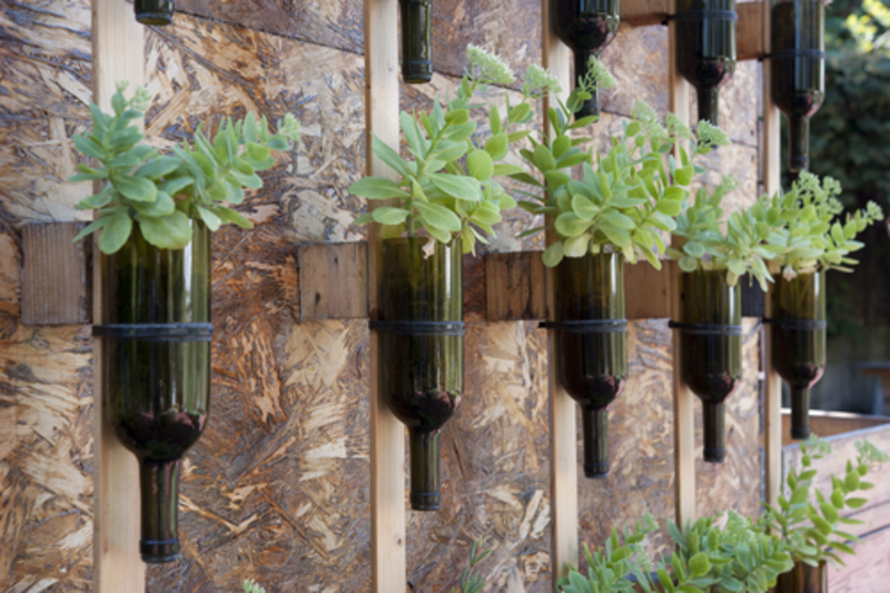 Botellas de vino recicladas | Shutterstock