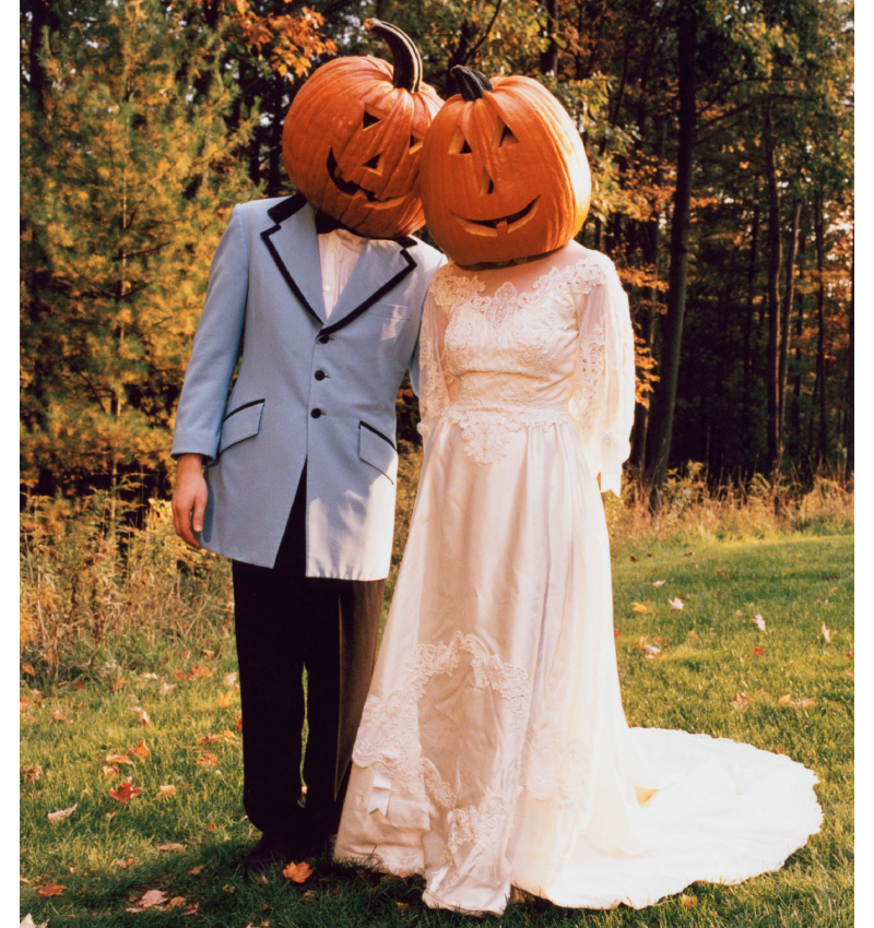 Amantes de las calabazas | Getty Images Photo by HollenderX2