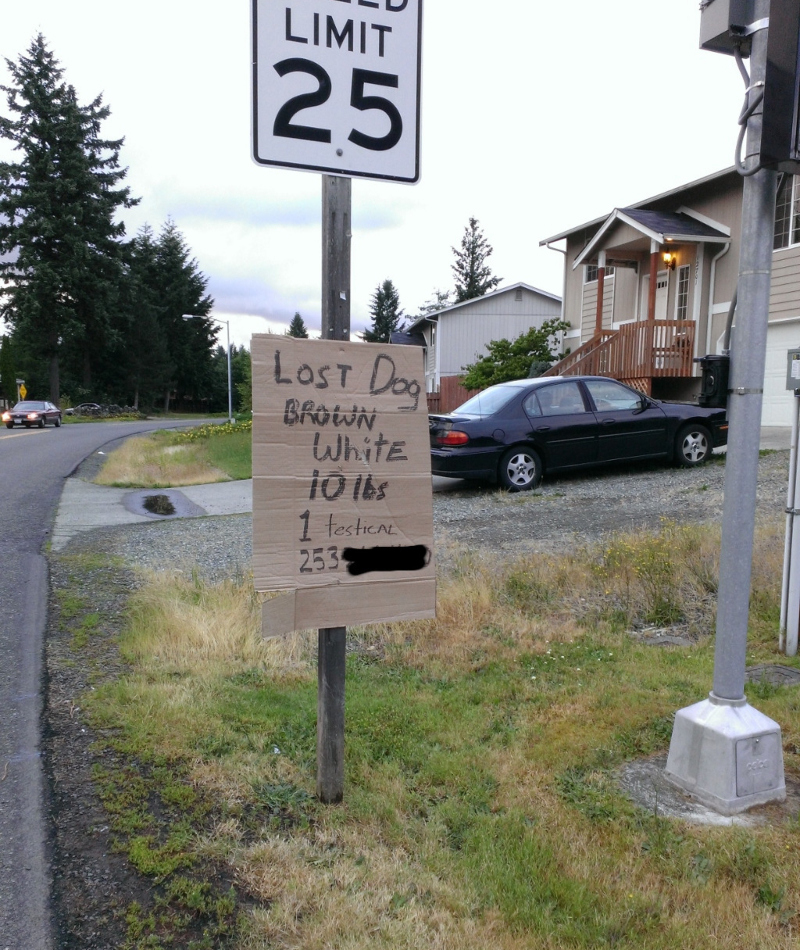 Ein Schild, das auf den Punkt kommt | Imgur.com/36NThuC