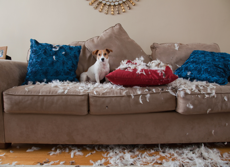 Pillado con las patas en la masa | Getty Images Photo by PM Images