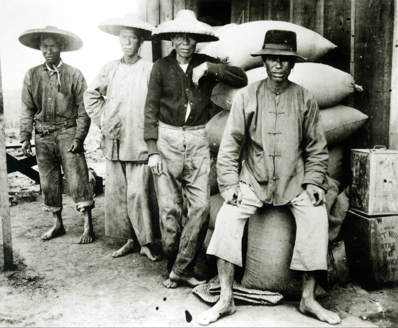 Chinesische Feldarbeiter | Alamy Stock Photo by Courtesy Everett Collection