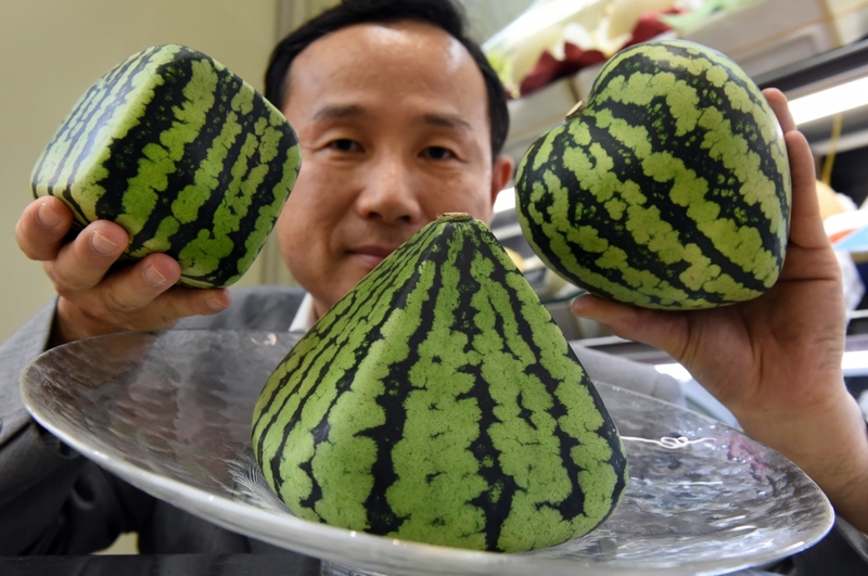 Teure Wassermelonen | Getty Images Photo by TORU YAMANAKA/AFP