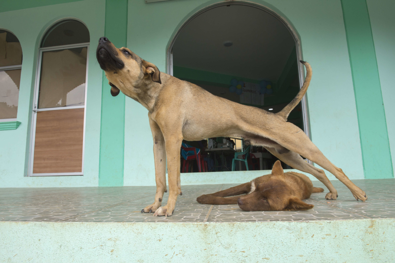 Stretching | Getty Images Photo by Wolfgang Kaehler/LightRocket