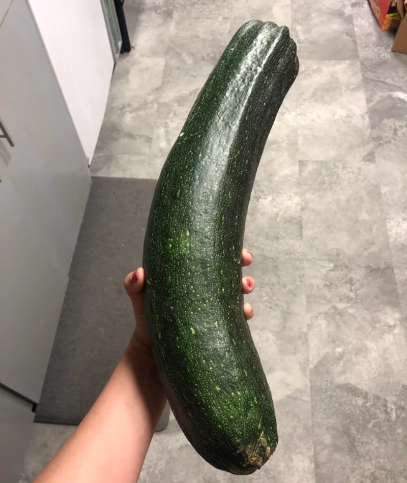 The Big Zucchinis | Reddit.com/becauseofwhen