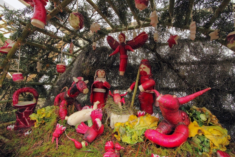 Night of the Radishes – Mexico | Getty Images Photo by Patricia Castellanos/AFP