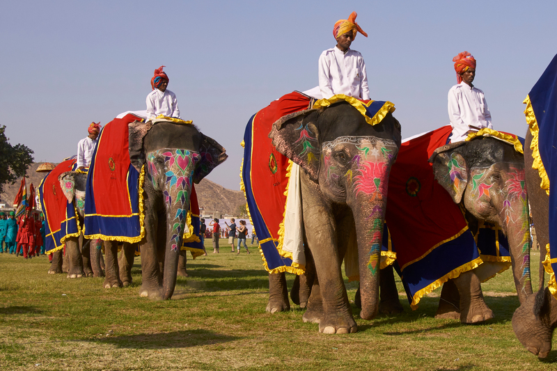 Jaipur Elephant Festival – India | Shutterstock Photo by Jeremy Richards